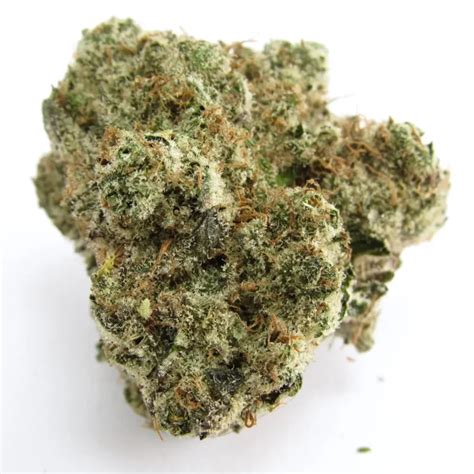 greasy runtz strain